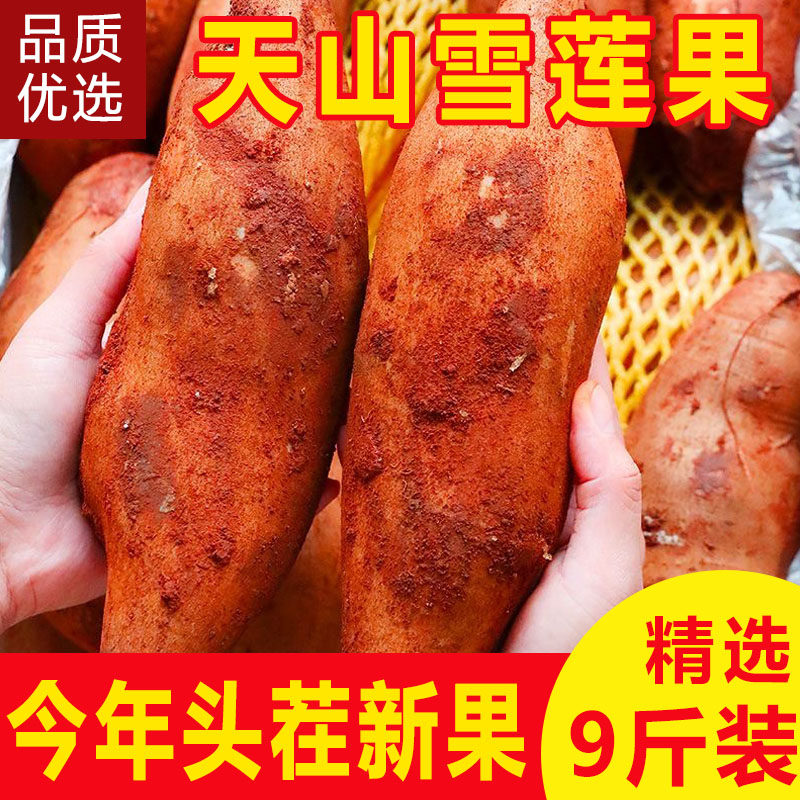 云南天山红心雪莲果9斤新鲜水果时令当季大果一级特级脆甜