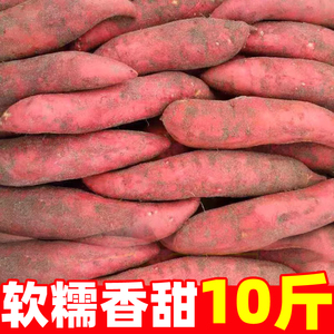 新鲜蜜薯10板栗红薯沙地糖心地瓜农家自种番薯现挖黄心香薯山芋