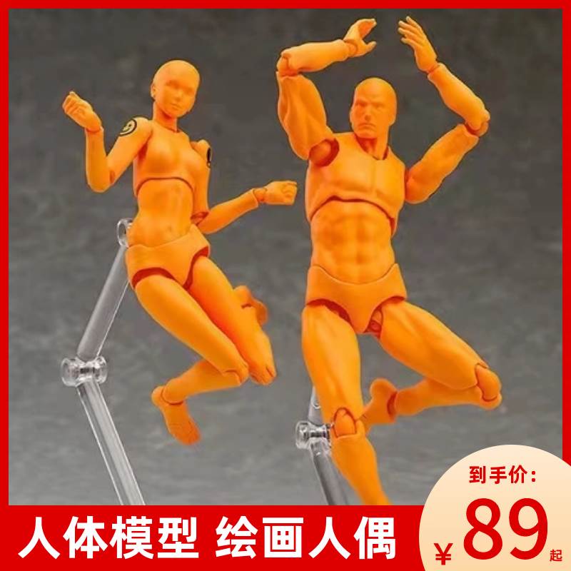 手办人体模具素体人偶关节可动男女漫画美术绘画参考人物素描摆件
