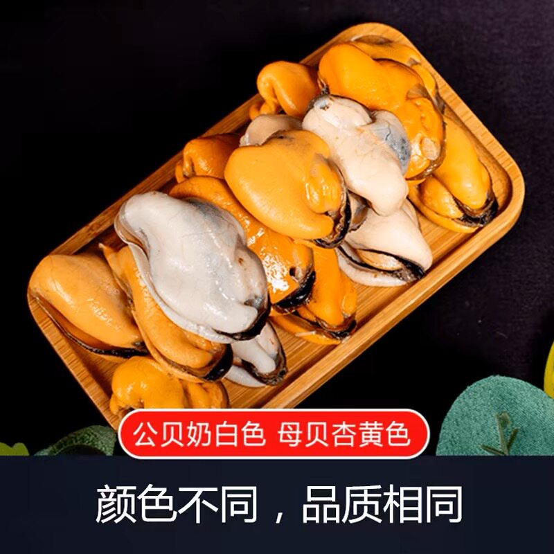 青口贝肉鲜活现剥大个头纯肉5斤装