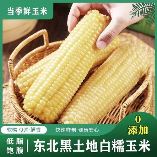 黑龙江甜糯玉米东北玉米新鲜玉米粘玉米真空独立包装