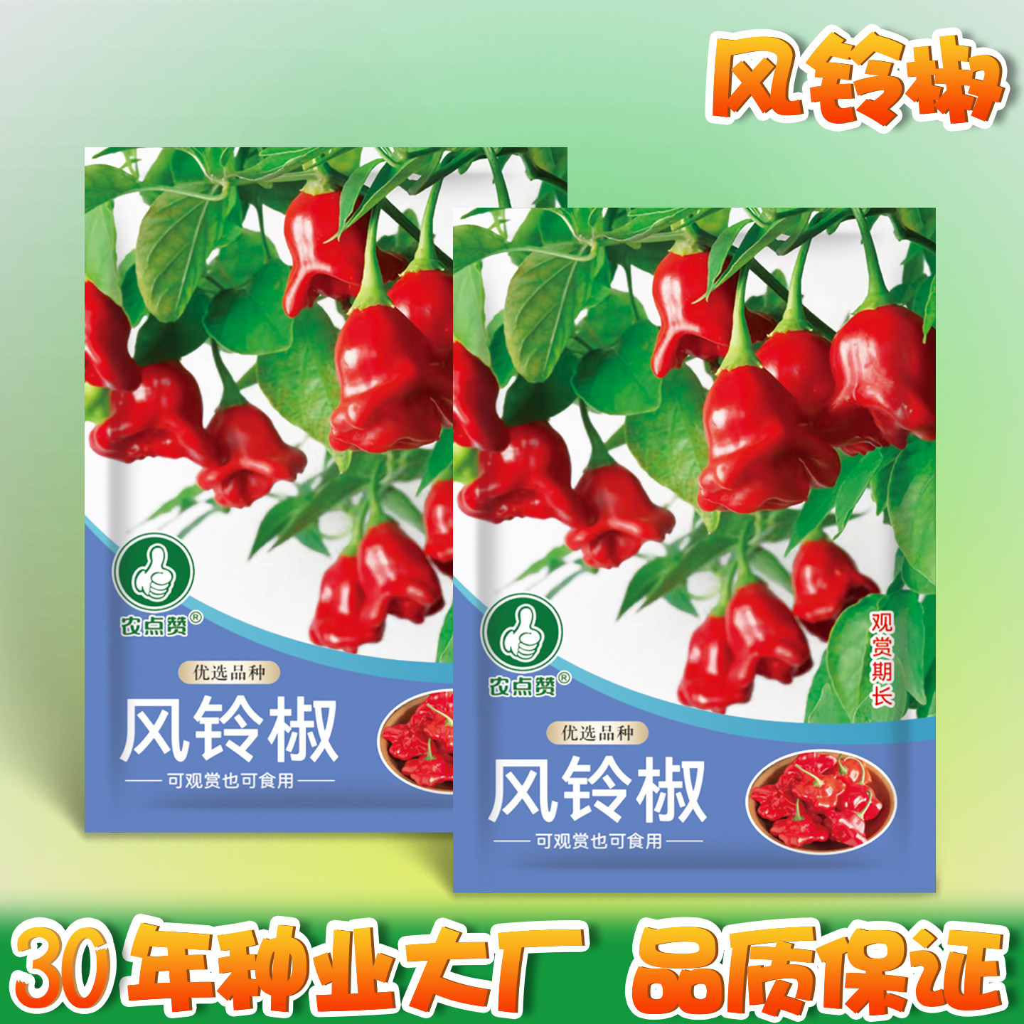 风铃椒种子灯笼椒观赏椒籽种元宝椒可食用可观赏四季种植蔬菜种子