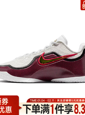 nike耐克冬季男鞋詹姆斯运动鞋场上实战篮球鞋IB9563-100