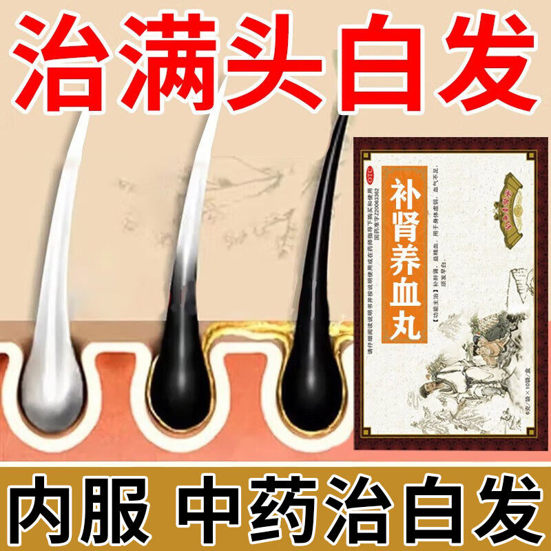 【益寿通】补肾益血丸6g*10袋/盒