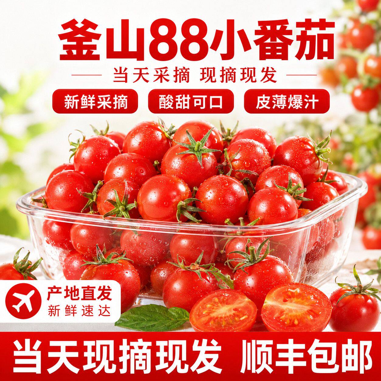 釜山88小番茄圣女果超甜千禧樱桃小西红柿生吃新鲜水果玲珑蕃茄纯