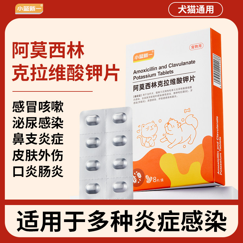 阿莫西林克拉维酸钾片猫狗宠物用消炎药感冒鼻支打喷嚏流鼻涕,宠物/宠物食品及用品,猫呼吸道疾病药品,淘宝优惠券,粉丝福利购,淘宝优惠卷