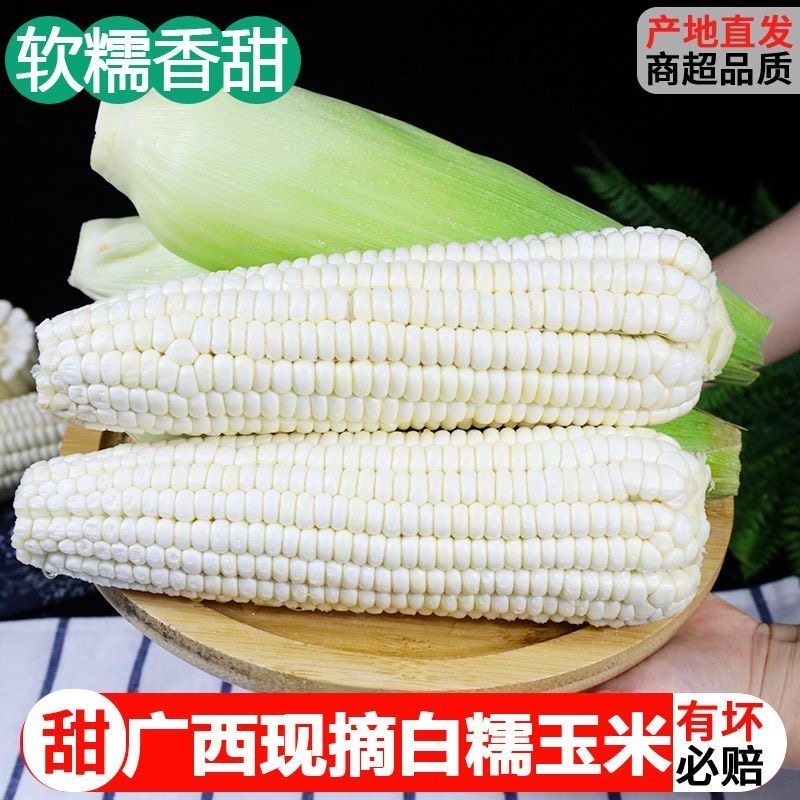 广西新鲜白糯玉米鸡腿白糯玉米现摘现发甜糯新鲜玉米现摘现发包邮,水产肉类/新鲜蔬果/熟食,新鲜玉米,淘宝优惠券,粉丝福利购,淘宝优惠卷