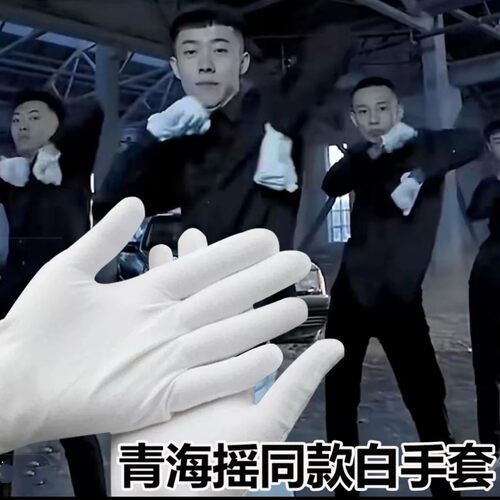 张诗尧同款手套青海摇纯白手套秋