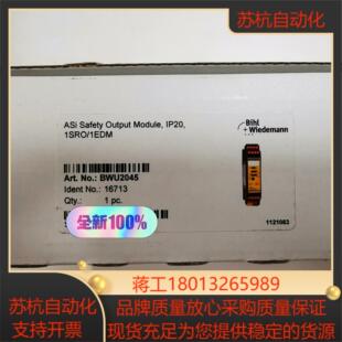 BihlWiedem i安全模块BWU2045 必威