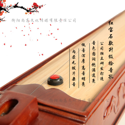 绮音独弦琴拾音专业用高档民族乐器音乐爱好者通用型舞台原装正品