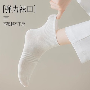 春秋女学生纯色糖果色吸汗夏天中筒低帮运动袜校园百搭时尚