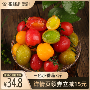 山东三色小番茄圣女果西红柿夏日阳光青口蜜水果