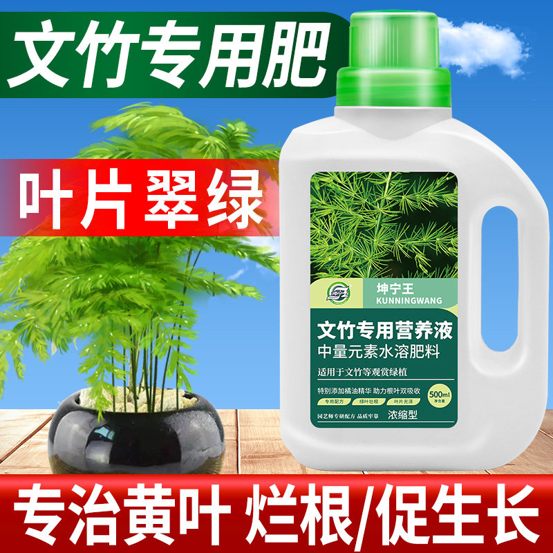 文竹营专用肥料营养液防治黄叶盆栽植物养花通用型花肥料盆景氮肥