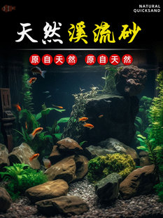 鱼缸底部砂石造景专用天然水族箱底部石头水草装饰沙子原生溪流石