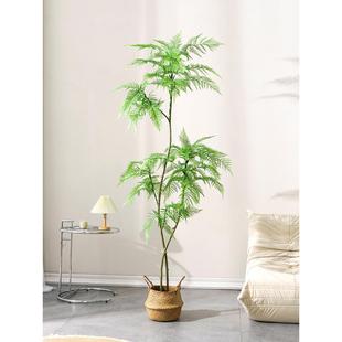 造景落地装 仿真绿植蓝花楹高端轻奢假树盆栽室内客厅软装 饰摆件树