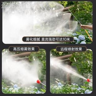 新式电瓶车电动打药机喷雾器自动收放高压农用农药喷洒器神器雾化