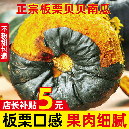 正宗山东惠和一号贝贝南瓜