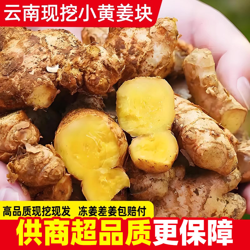 新鲜现挖小黄姜块5-9斤