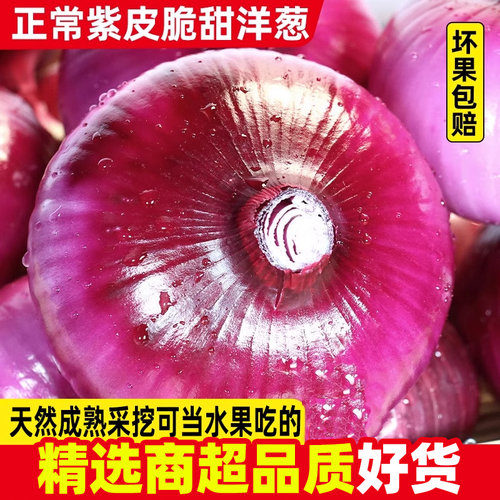 新鲜云南紫皮水果洋葱