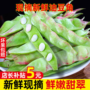 东北油豆角现摘5斤一点红油豆角新鲜蔬菜九月青黑龙江整箱包邮10