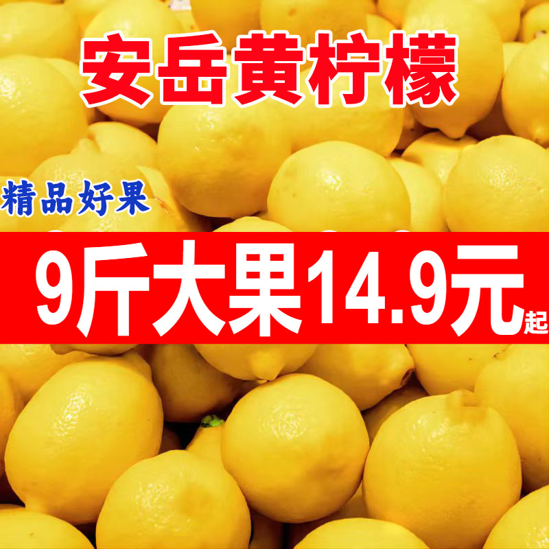 四川安岳黄柠檬大果9斤14.9元