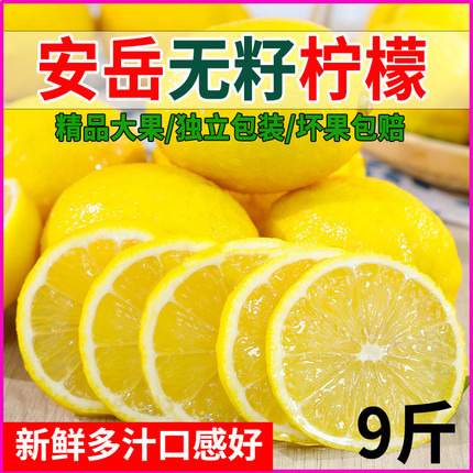 四川安岳黄柠檬新鲜无籽皮薄一级奶茶店专用香水柠檬青柠产地直发