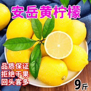 四川安岳黄柠檬新鲜水果皮薄整箱批发香水青柠檬泡水商用批发9斤