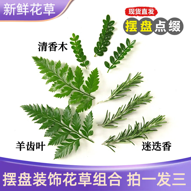 新鲜摆盘花草慕斯蛋糕烘焙提拉米苏装饰叶子清香木迷迭香甜品摆件
