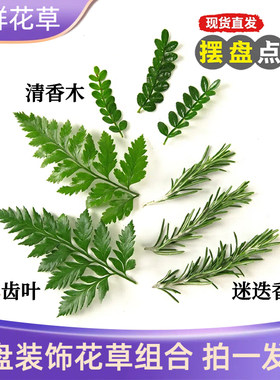 新鲜摆盘花草慕斯蛋糕烘焙提拉米苏装饰叶子清香木迷迭香甜品摆件