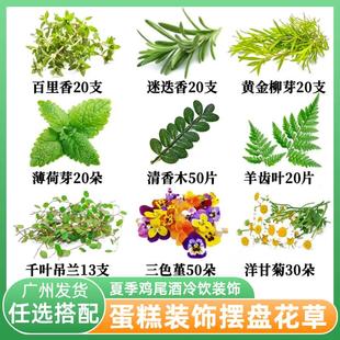 夏季冷饮鸡尾酒调酒装饰薄荷清香木叶子蛋糕烘焙三色堇摆盘花草