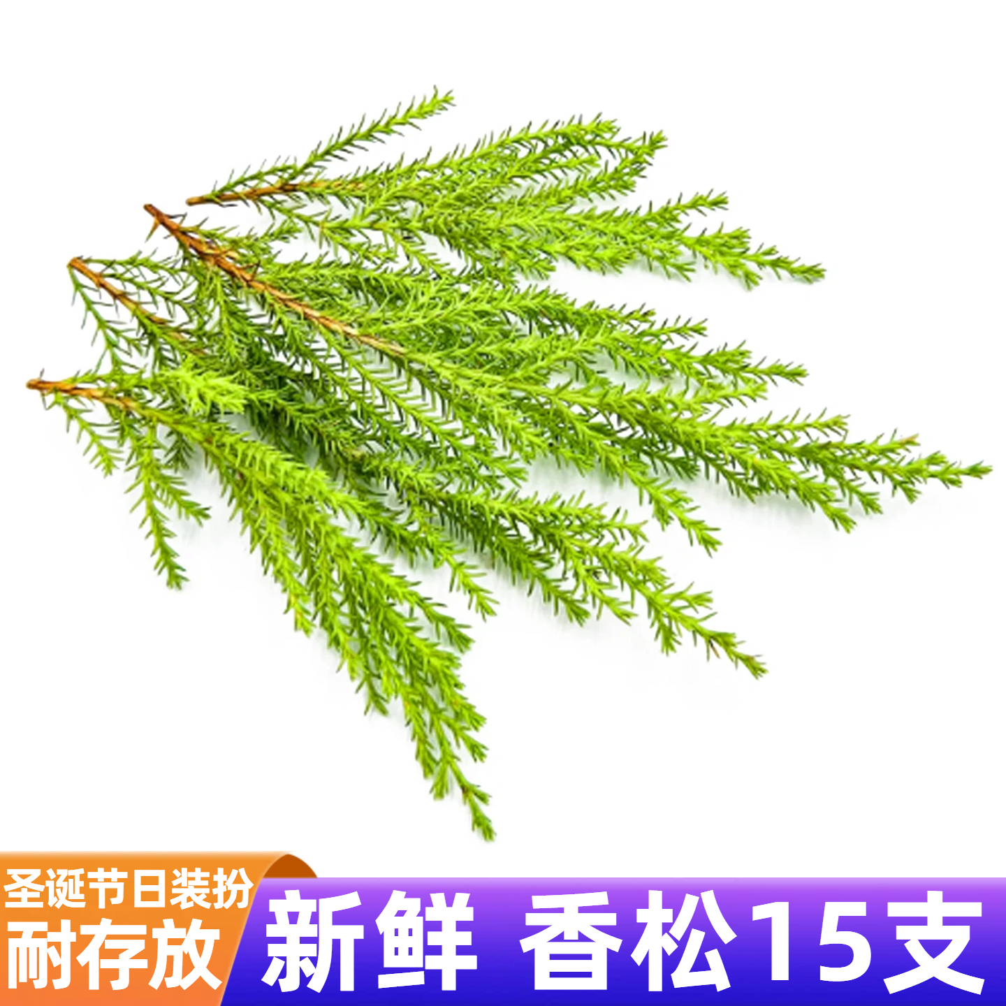 新鲜香松圣诞节日氛围感装扮绿植叶子咖啡鸡尾酒蛋糕烘焙点缀摆件