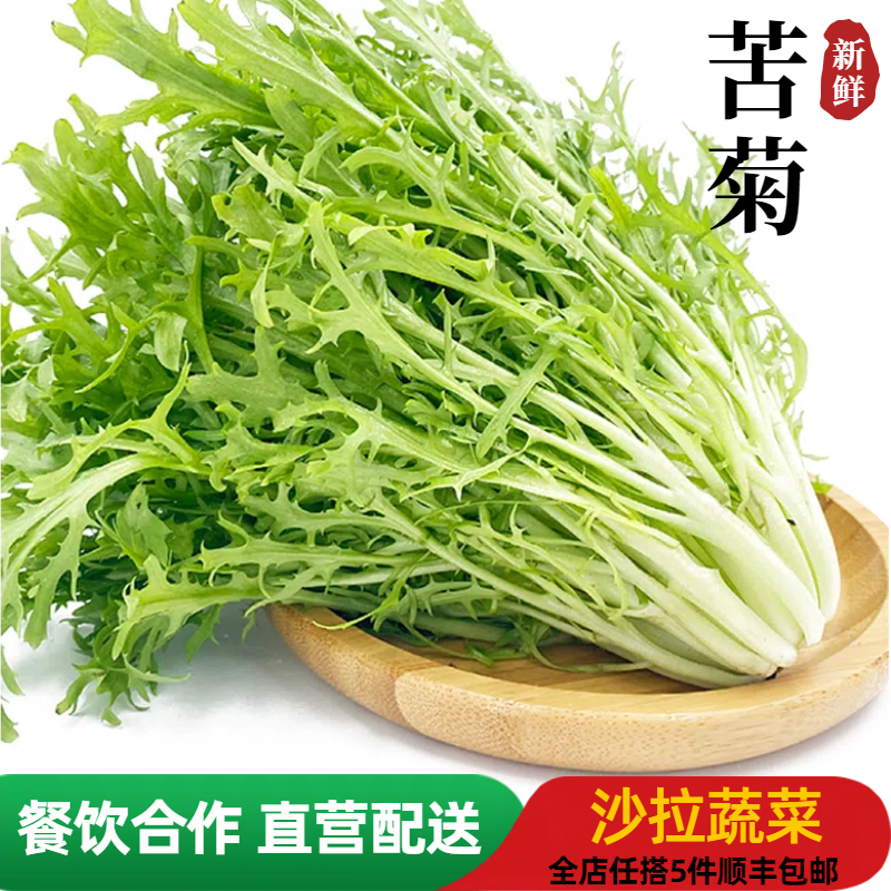 苦菊九芽生菜新鲜苦细叶生菜即食健身轻食简餐沙拉西餐食材蔬菜