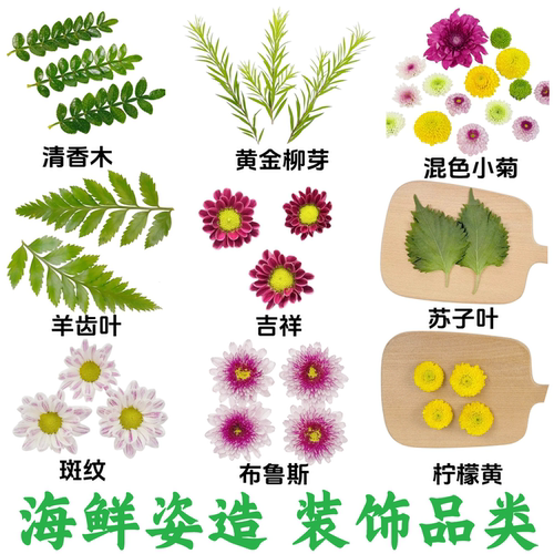 新鲜小菊花海鲜刺身装饰摆盘