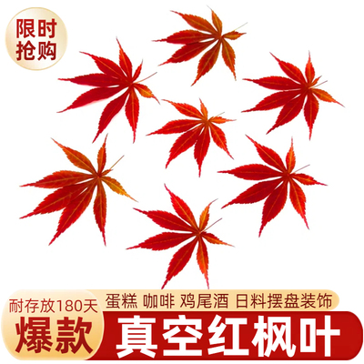 真空红枫叶蛋糕烘焙咖啡装饰鸡尾酒特调点缀摆件日料刺身摆盘花草