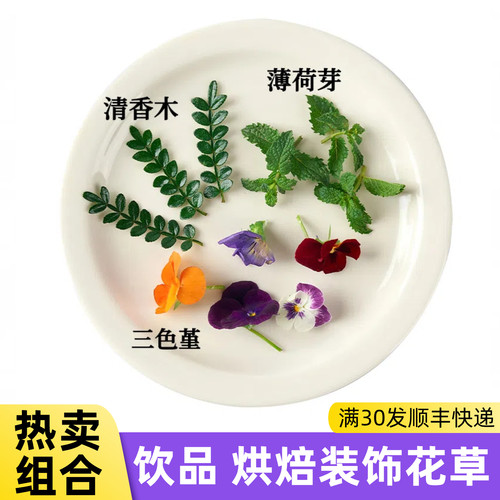 酒吧饮品调酒装饰薄荷芽食用三色堇蛋糕摆盘装饰花草清香木叶子
