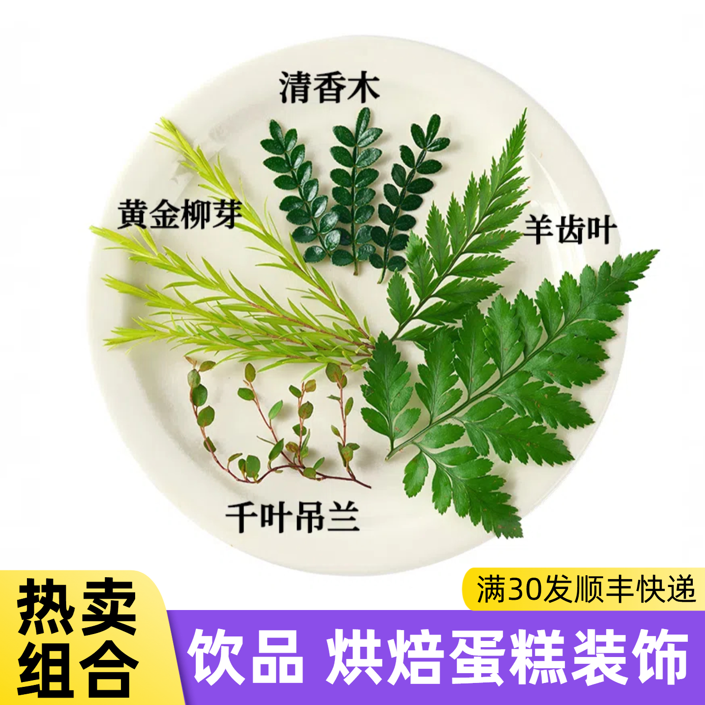 甜品烘焙装饰蛋糕清香木叶子黄金柳芽千叶吊兰饮品网红摆盘花草