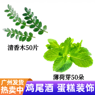 鸡尾酒酒吧特调薄荷芽装饰点缀叶子清香木蛋糕烘焙网红摆盘花草