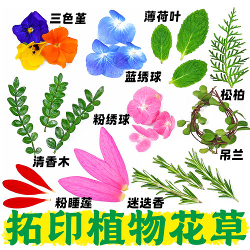拓印植物敲拓染新鲜鲜花树叶手工diy幼儿园活动帆布包方巾书签