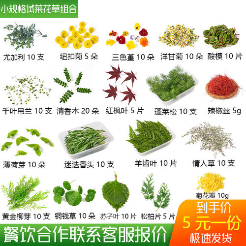 新鲜摆盘叶子装饰点缀坏单包赔