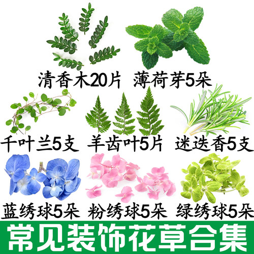 小份试菜样品摆盘装饰花草蛋糕烘焙调酒鸡尾酒点缀三色堇清香木