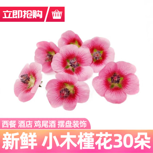 新鲜木槿花西餐酒店摆盘装饰花草蛋糕烘焙鸡尾酒冷菜盘饰小木槿