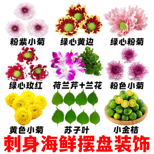 新鲜混色小菊日料刺身海鲜三文鱼餐饮装饰摆盘花草点缀小菊苏子叶