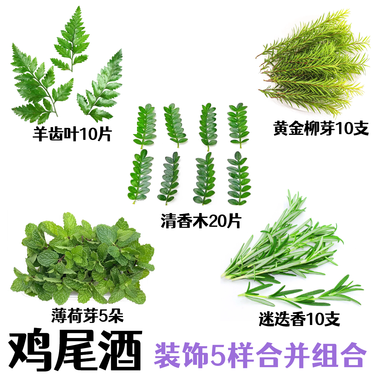 耐存放夏季鸡尾酒摆盘装饰点缀清香木羊齿叶迷迭香薄荷芽黄金柳芽