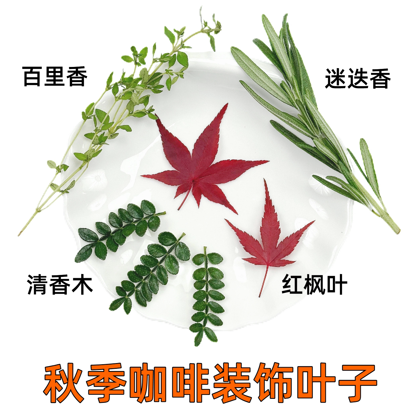 秋季氛围感咖啡装饰红枫叶清香木迷迭香百里香组合点缀叶子花草图片