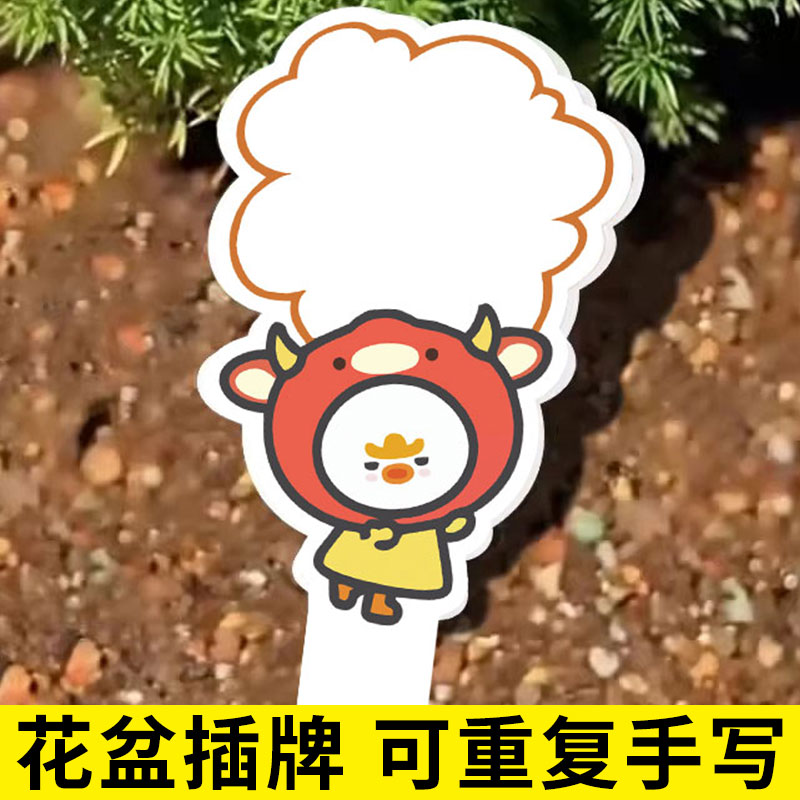 pvc幼儿园植物标签插牌