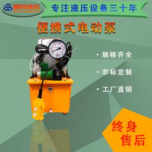 小型超高压电动液压泵便携式直流油泵电磁阀柱塞泵压力机拉伸机
