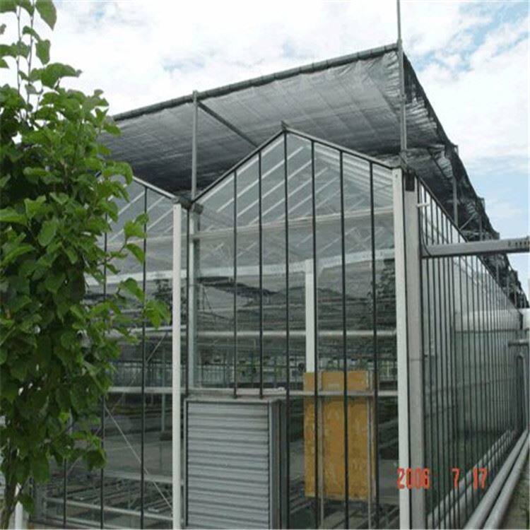 厂家建造生态餐厅农业多用途温室种植大棚热镀锌大棚钢结构