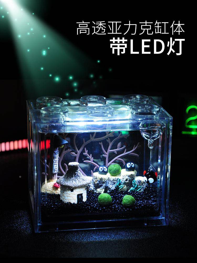 生面态瓶品微景观缸室冬季新款内桌趣味鱼缸迷你成水培植物球藻创