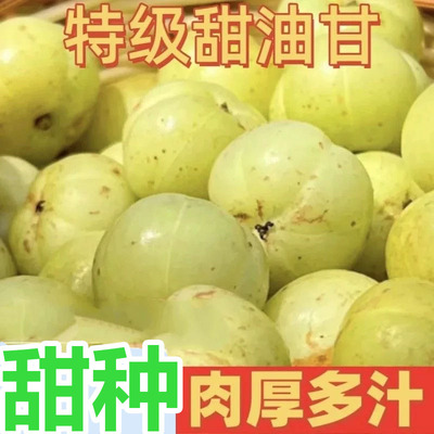 潮汕新鲜柿饼甜油甘果余甘果甜种牛甘子腌制榨汁泡酒甜种油柑