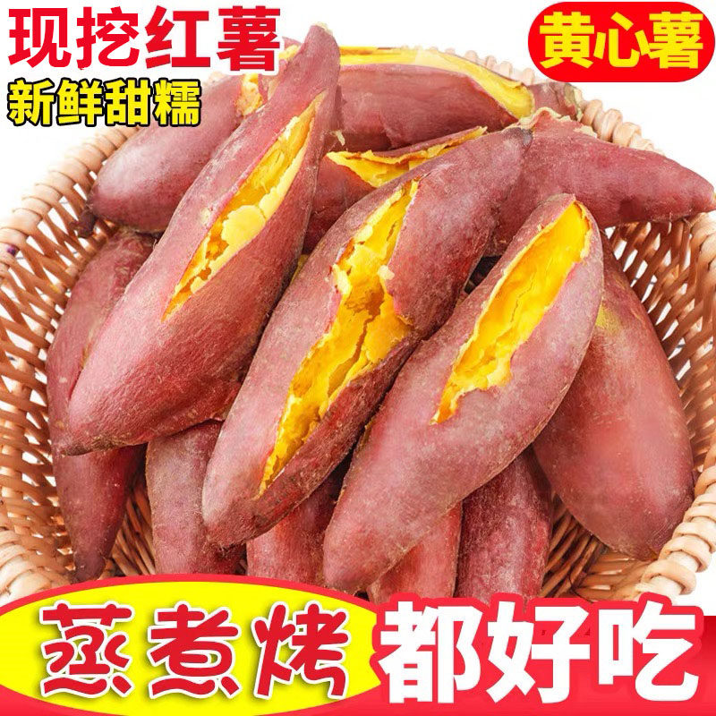 新鲜蜜薯9斤板栗红薯沙地糖心地瓜农家自种番薯现挖黄心香薯山芋